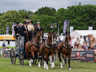 Heavy Horses