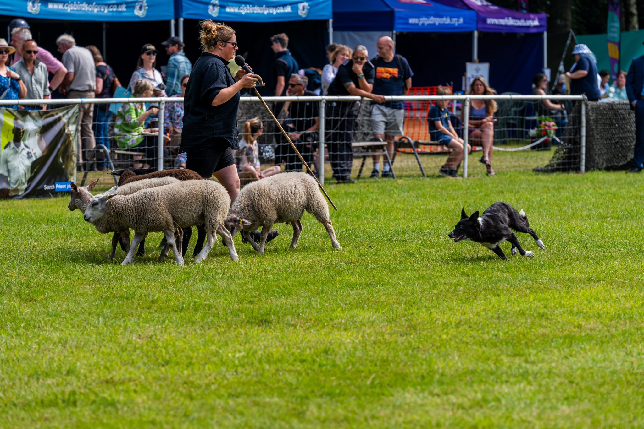 royal-norfolk-show-24-25-june-2026